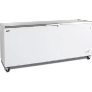 Congélateur pro TEFCOLD 16163